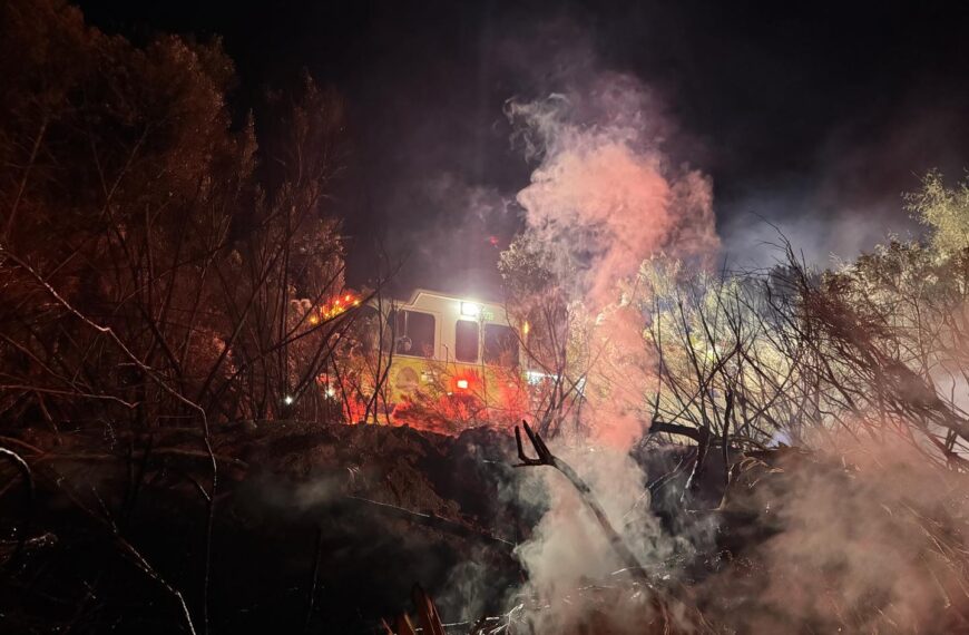 Christmas Eve Brush Fire Keeps Rural Metro Crews Away from Holiday