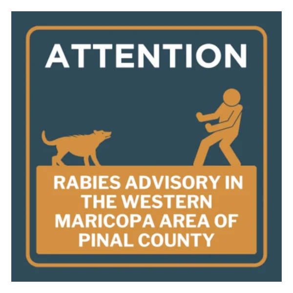 Rabies! Gray Fox Tests Positive in Western Maricopa Area of Pinal County