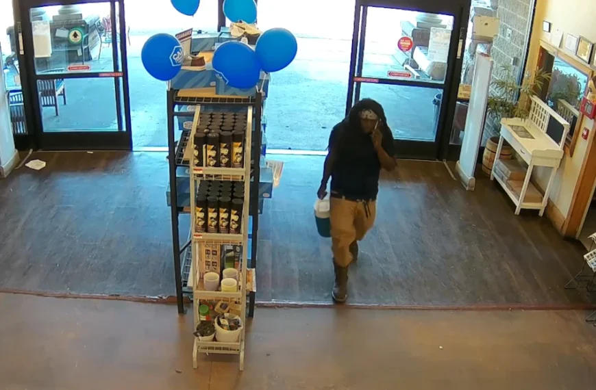 CG Police Seek Public’s Help in Identifying Theft Suspects