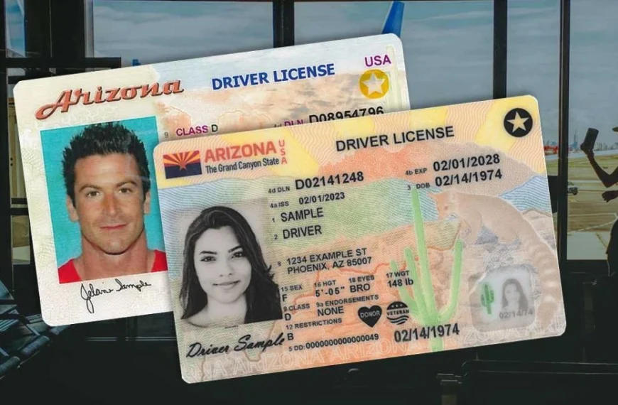Number of Arizona Travel IDs now exceeds 3 million
