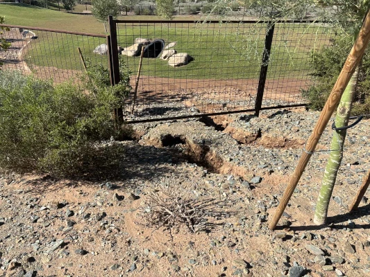 Apache Junction Dog Parks Closed for Flood Repairs…