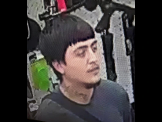 CPD Seeks Help in Theft Investigation