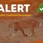Peralta Trailhead Reopens After Bobcat&hellip;