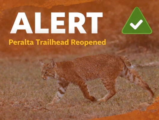 Peralta Trailhead Reopens After Bobcat&hellip;