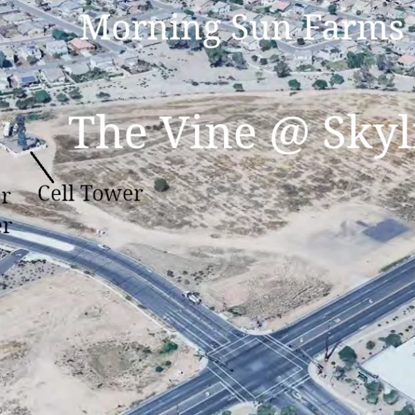 Vine at Skyline San Tan…
